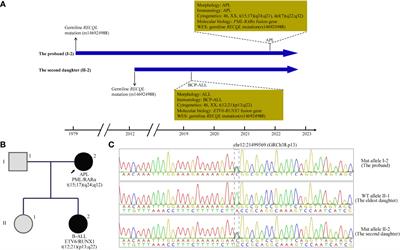 Case report: Germline RECQL mutation potentially involved in hereditary predisposition to acute leukemia